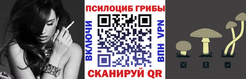 Псилоцибиновые грибы Magic Shrooms  цены наркотик  Мамадыш 